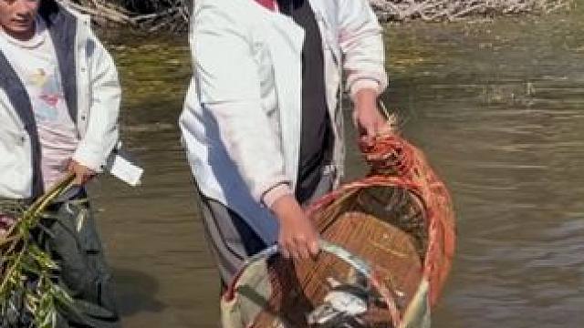 #户外捕鱼 #好多鱼