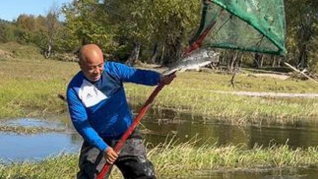 #户外捕鱼 #好大一条鱼