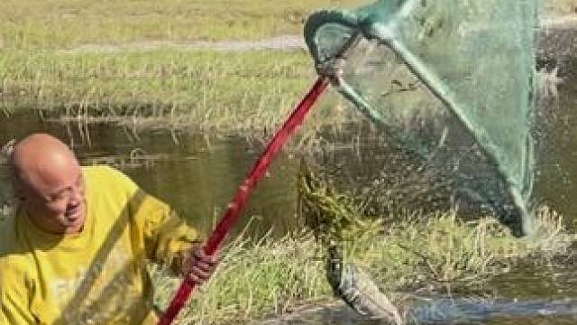 #户外捕鱼 #好大一条鱼