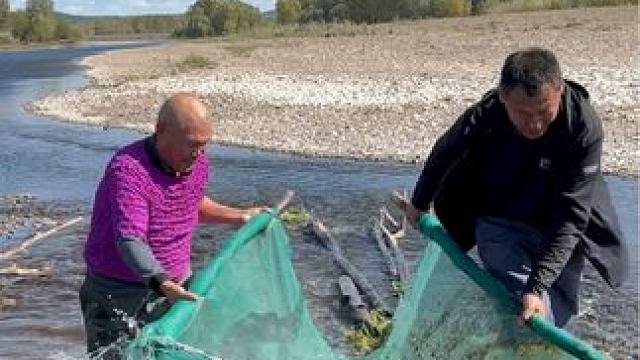 #户外捕鱼 #好多鱼