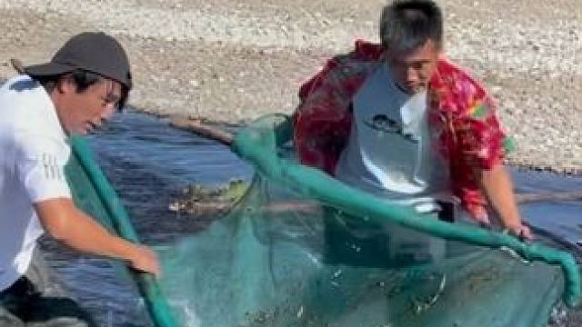 #户外捕鱼 #好多鱼