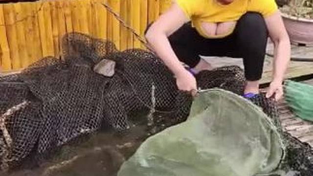 #我的乡村生活 #农村捉鱼视频 #原生态乡村生活