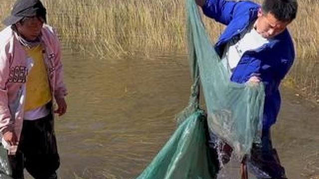 #户外捕鱼 #好多鱼