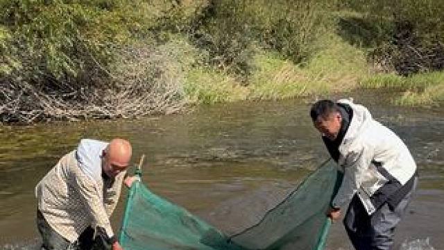 #户外捕鱼 #好多鱼