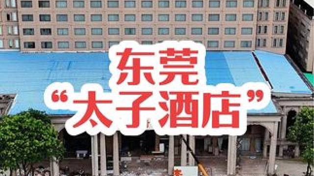 沉睡多年的“东莞太子酒店”终于迎来了重新开业，却从此再无“太子酒店”，如今变成了一家高档酒楼，也不再