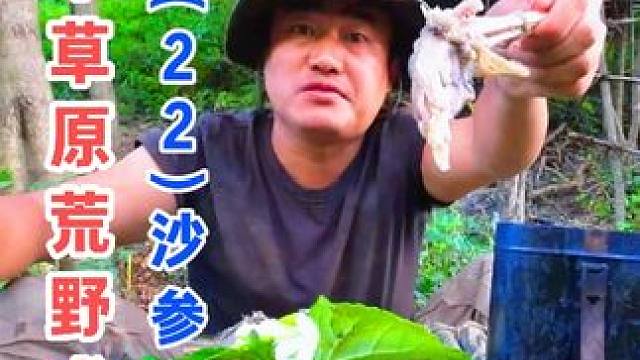 制作竹桌巡查陷阱，沙参炖鸡美味野餐 云中草原荒野求生（22）沙参炖鸡#野外生存 #荒野求生 #户外美