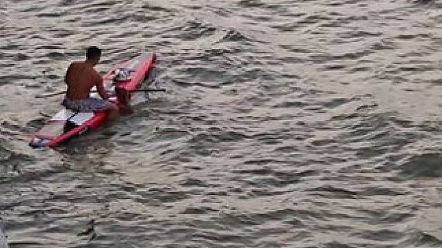 狗狗也会游泳？ #游泳#狗狗#东湖 #皮划艇