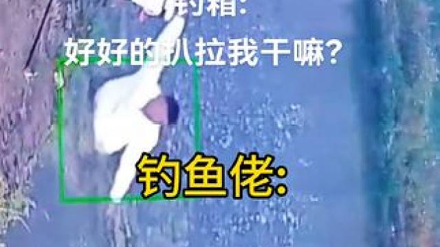 钓箱:好好的扒拉我干嘛呀？#钓鱼 #钓大鱼