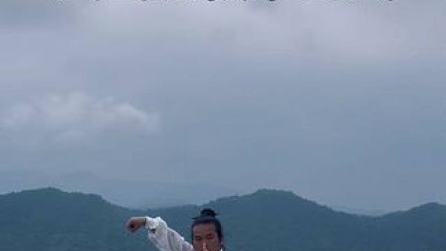武当太极拳28式 #武当功夫 #太极拳 #凌云小金刚