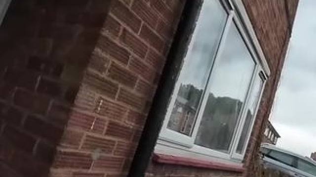 庭院清理 草挺多的#国外视频分享 #解压 #极度舒适 #清理 #除草视频解压