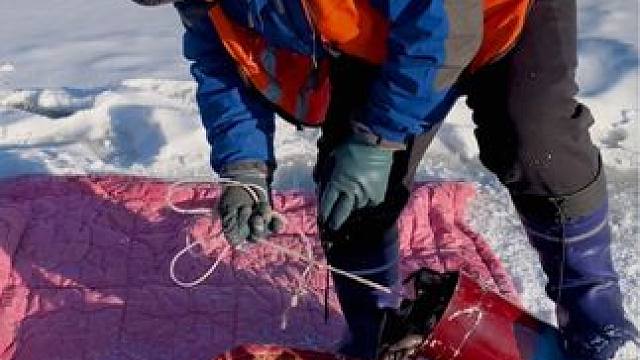 #好多鱼 #户外捕鱼