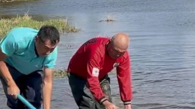 #户外捕鱼 #好多鱼