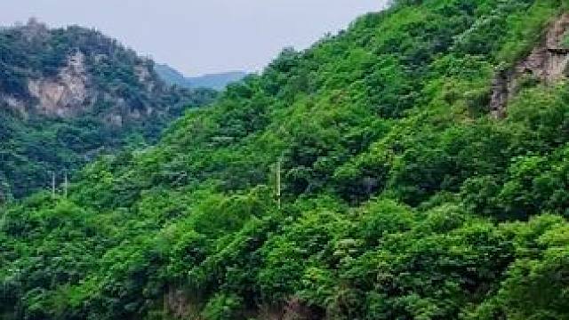 小龙池大峡谷 #旅行推荐官 #河南刚哥#小龙池