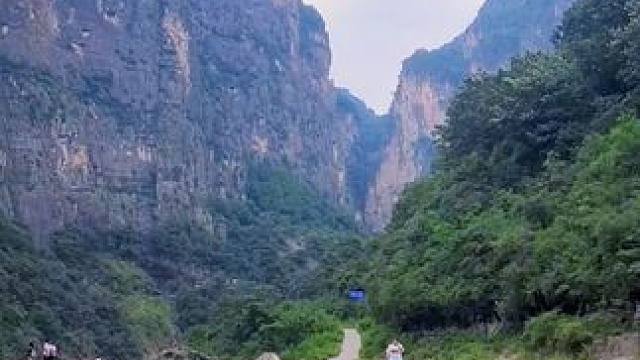 红豆杉大峡谷 #河南刚哥#志刚在路上#太行山风景