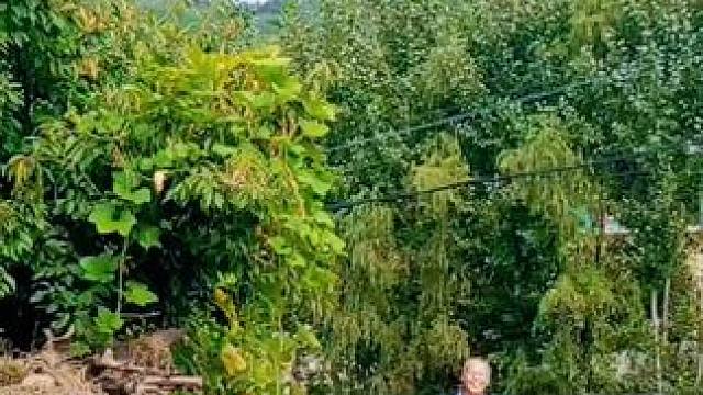 #农村生活 #西营之行（322）上降甘村。漫漫人生路，走走停停；形形色色的人，来