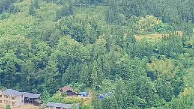 最近村里出了个怪现象，竟然有人从城里跑回老家修小洋楼了，难道这就是落叶归根？#乡愁记忆 #农村 #记