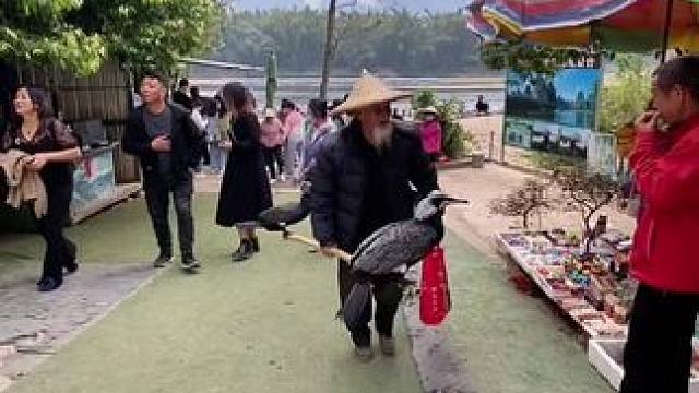 #这里是广西桂林 #漓江渔翁 #旅行推荐官