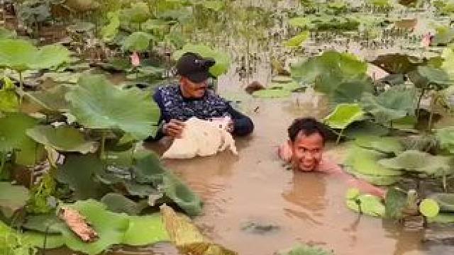 毛哥和矮子 #我的乡村生活 #乡村新农人 #农村生活#田园生活乐趣多