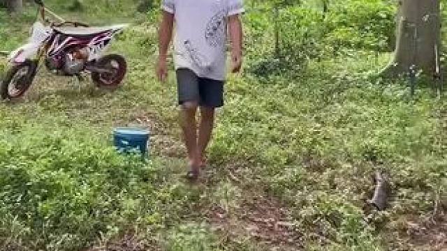 东南亚小土狗 #户外露营野餐 #农场生活 #赴一场野炊之约 #户外活动