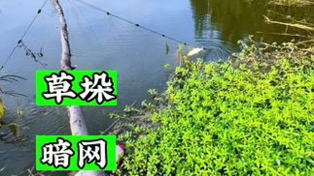 你说你不吃鱼 你下这网干嘛 整的这鱼都挂了#钓鱼 #野钓 #户外野钓 #野河野钓#老坛甜薯