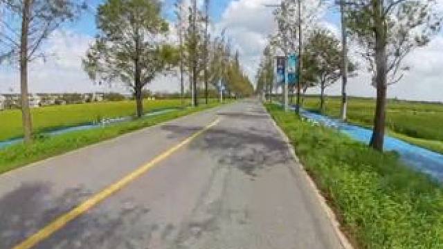 啥叫秋高气爽？魔都上海也有漂亮的乡间小路 上海最适合骑摩托的季节来了#上海骑行 #上海打卡 #带着影