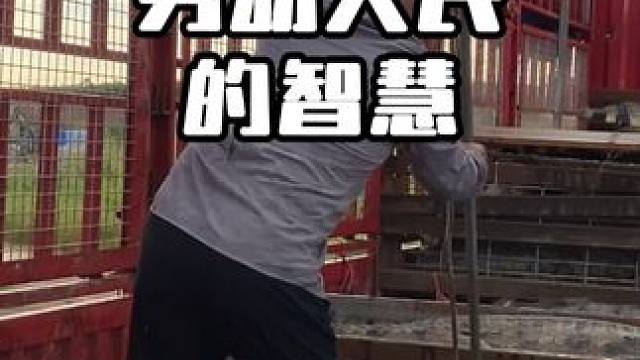 小小鳄鱼哪里跑！ #专业的事情交给专业人去做 #鳄珍 #养生酒 #鳄珍鳄鱼酒