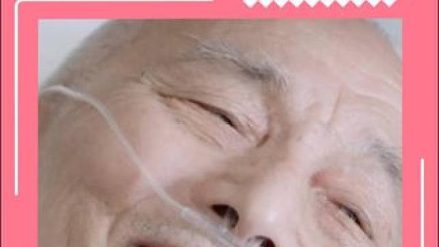 边牧呀，太聪明了 #边牧 #流浪狗  #狗狗的心思都写在脸上了 #狗狗