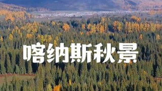 在喀纳斯储存属于秋天的浪漫✨