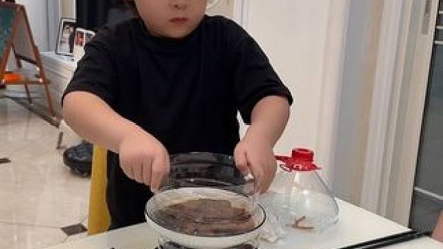 我儿子刚做好的放菜神器 你别说 这个还真能用#拿捏人类幼崽的一百种方式 #人类高质量暑假 #小童学焕