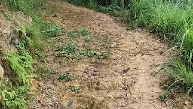 每个老宅都有自己的悲欢离合，繁荣和落寞，这一片荒凉的背后诉说着不被后人所知的故事，，。#乡愁记忆 #