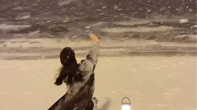 我早就忘了 你带给我那些痛和伤.
#威海 #氛围感 #去年冬天