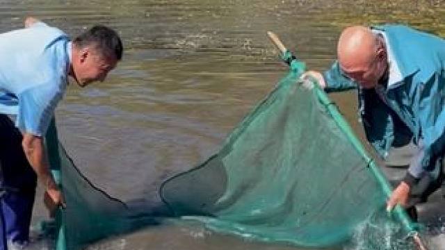 #户外捕鱼 #好多鱼