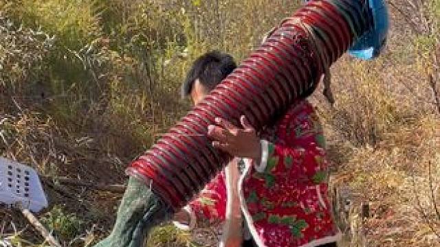 #户外捕鱼 #好多鱼