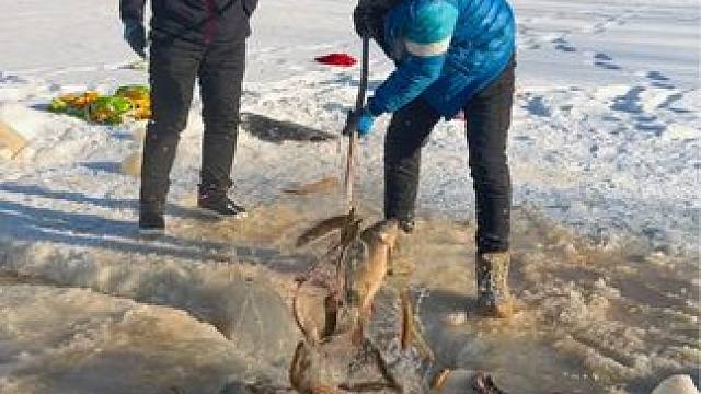 #户外捕鱼 #好多鱼