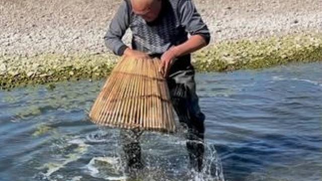 #户外捕鱼 #好大一条鱼