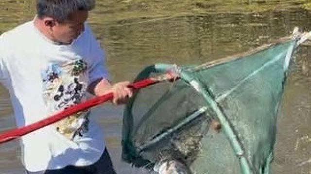 #户外捕鱼 #好大一条鱼