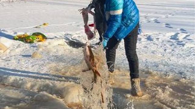 #户外捕鱼 #好多鱼