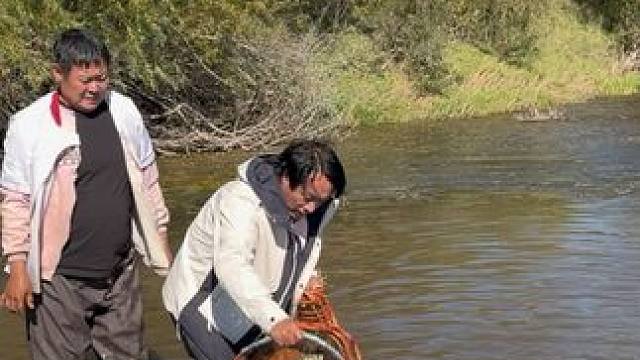 #户外捕鱼 #好多鱼