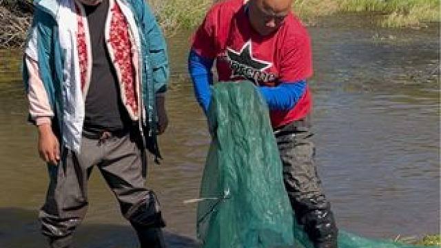 #户外捕鱼 #好多鱼