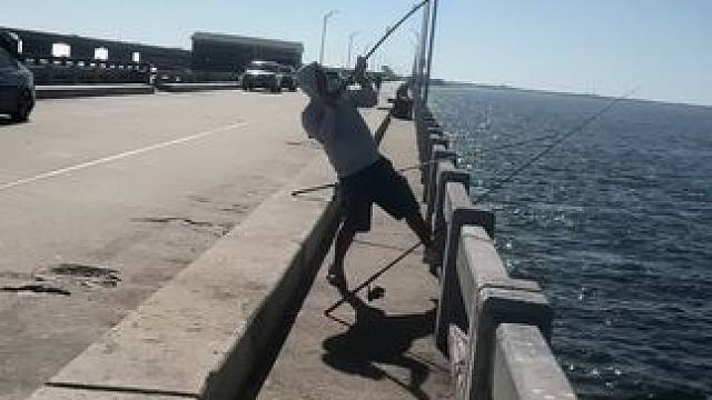 #这鱼哪个钓友看了不羡慕 #唯有钓鱼解千愁 #钓鱼的乐趣只有钓鱼人懂