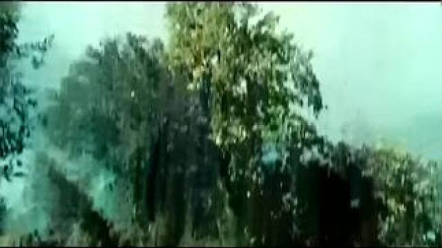 下载《西瓜视频》，免费观看精彩后续/精彩海量免费短剧免费看......下载《西瓜视频》，免费观看精