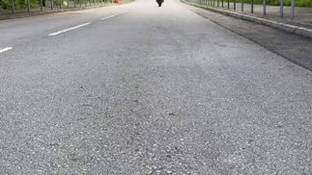 “被艾特的人会给你买”#杜卡迪 v4 #杜卡迪 #骑士