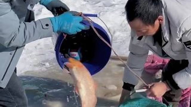 #户外捕鱼 #好大一条鱼