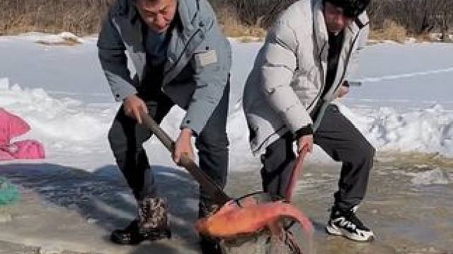 #户外捕鱼 #好多鱼