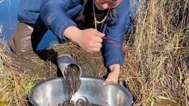 #户外捕鱼 #好多鱼