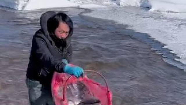 #户外捕鱼 #好多鱼