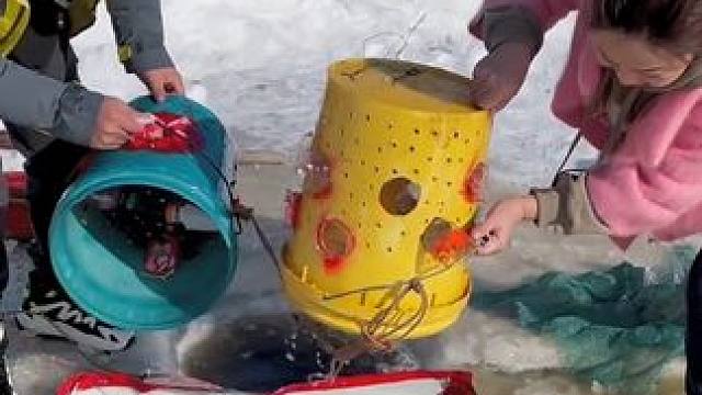 #好多鱼 #户外捕鱼