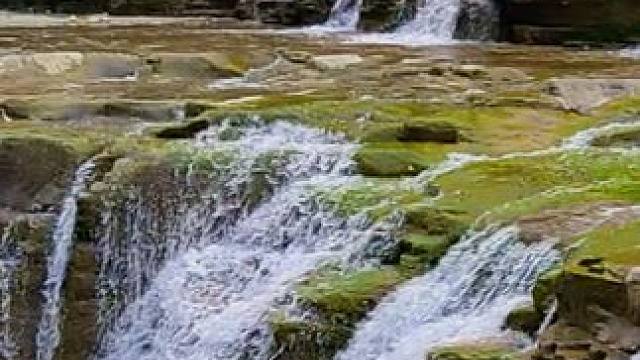 红豆杉大峡谷 #大自然的鬼斧神工 #河南刚哥#志刚在路上