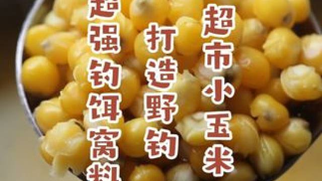 超市小玉米，打造野钓超强钓饵窝料，野钓鲫鲤草鳊的克星鱼饵 超市小玉米，打造野钓超强钓饵窝料，野钓鲫鲤