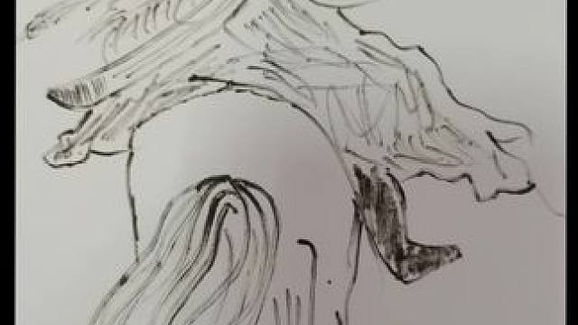 虽然，但是，与其，不如……！亦能安勤苦，与其同志，不用站队，自由自在，喜乐不来自外在，一个是由内而外